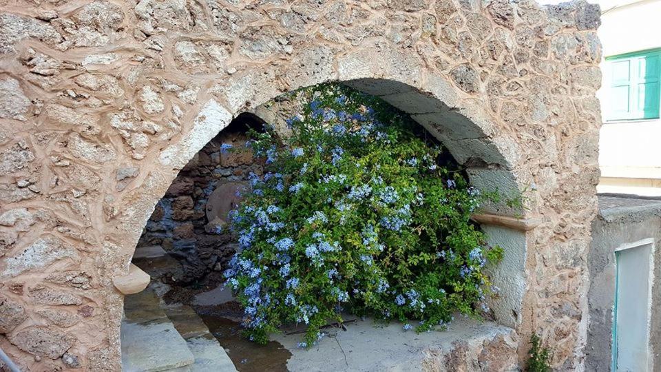 Tania Village Zakros Maisonette Екстериор снимка